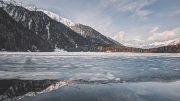 pexels-photo-1048256-360×270