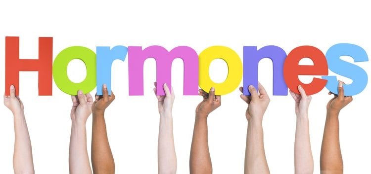 dreamstime_s_41108702 Kopie